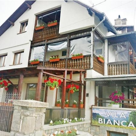 Vila Bianca Busteni Luaran gambar
