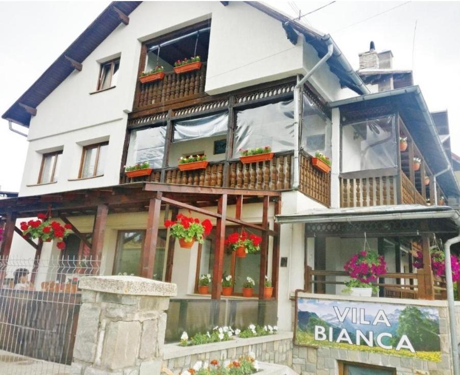 Vila Bianca Busteni Luaran gambar